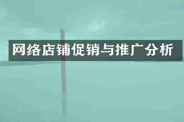 网络店铺促销与推广分析