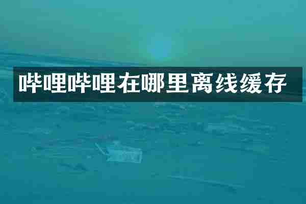 哔哩哔哩在哪里离线缓存