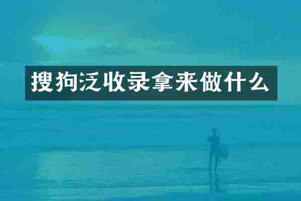 搜狗泛收录拿来做什么