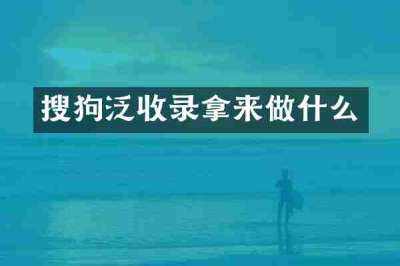 搜狗泛收录拿来做什么