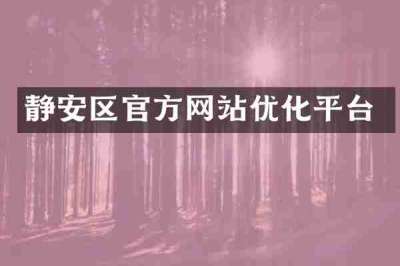 静安区官方网站优化平台