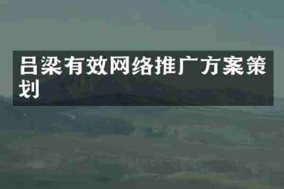 吕梁有效网络推广方案策划
