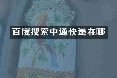 百度搜索中通快递在哪