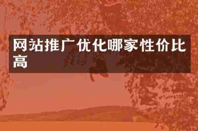 网站推广优化哪家性价比高