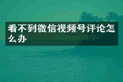 看不到微信视频号评论怎么办