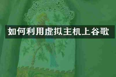 如何利用虚拟主机上谷歌