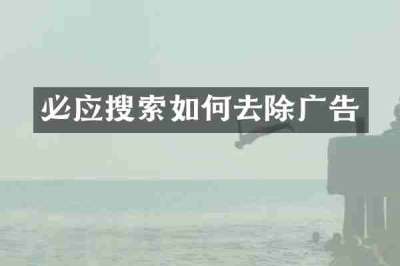 必应搜索如何去除广告