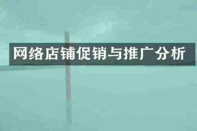 网络店铺促销与推广分析