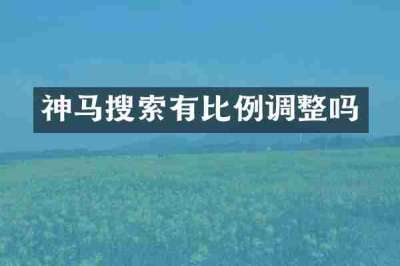 神马搜索有比例调整吗