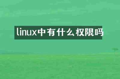 linux中有什么权限吗