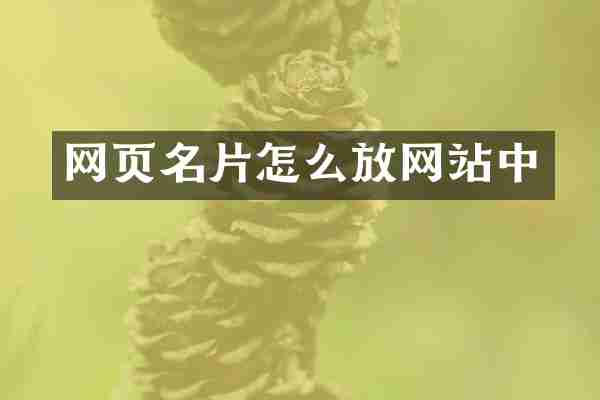 网页名片怎么放网站中