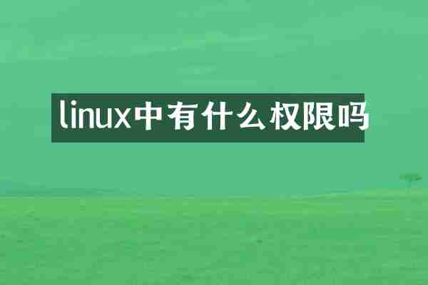 linux中有什么权限吗