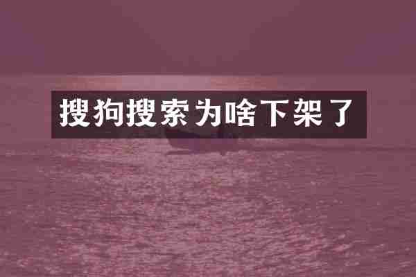 搜狗搜索为啥下架了