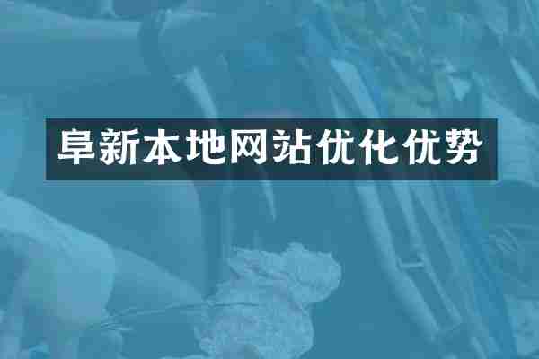 阜新本地网站优化优势