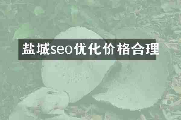 盐城seo优化价格合理
