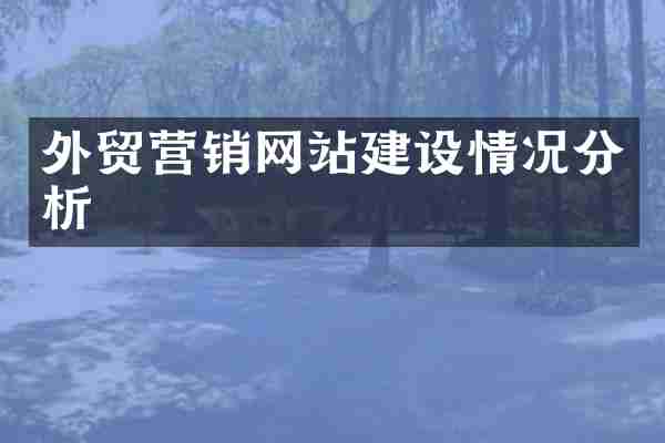 外贸营销网站建设情况分析