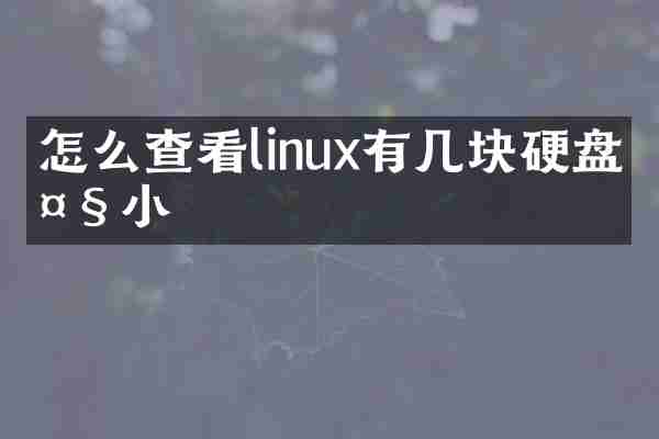 怎么查看linux有几块硬盘大小