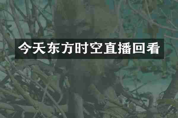 今天东方时空直播回看