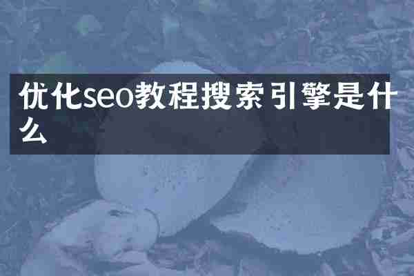 优化seo教程搜索引擎是什么