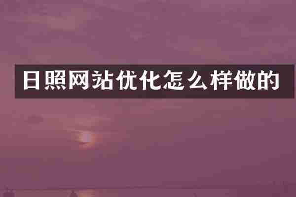 日照网站优化怎么样做的