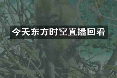 今天东方时空直播回看