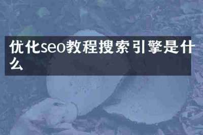 优化seo教程搜索引擎是什么