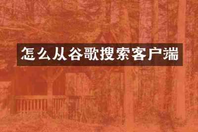 怎么从谷歌搜索客户端