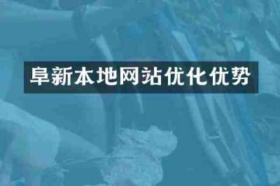 阜新本地网站优化优势