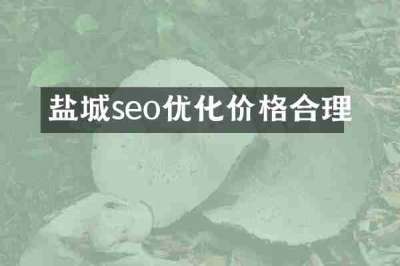 盐城seo优化价格合理