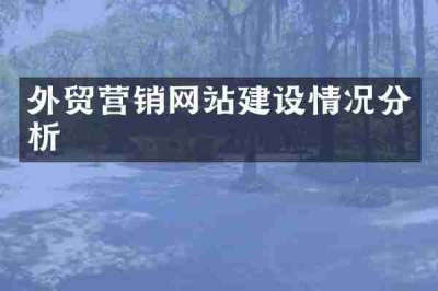 外贸营销网站建设情况分析
