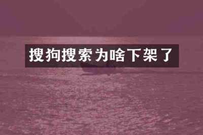 搜狗搜索为啥下架了