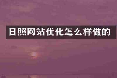 日照网站优化怎么样做的