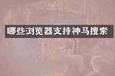 哪些浏览器支持神马搜索