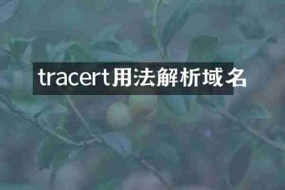 tracert用法解析域名