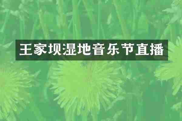 王家坝湿地音乐节直播
