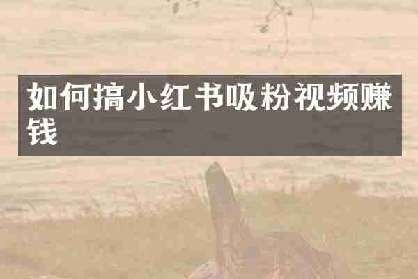 如何搞小红书吸粉视频赚钱