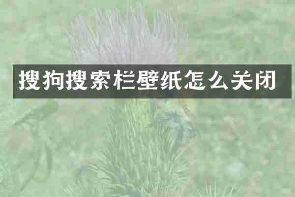 搜狗搜索栏壁纸怎么关闭