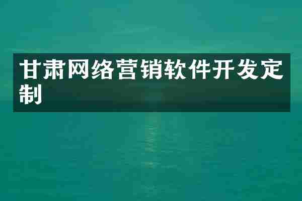 甘肃网络营销软件开发定制