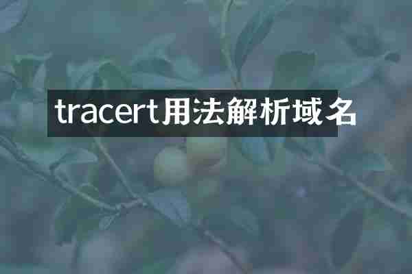 tracert用法解析域名