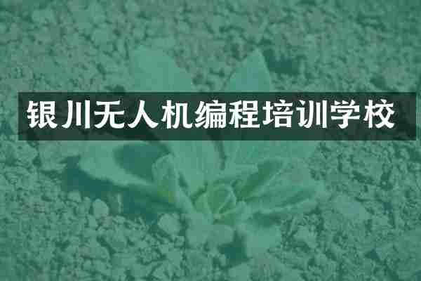 银川无人机编程培训学校