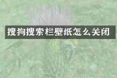 搜狗搜索栏壁纸怎么关闭