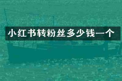 小红书转粉丝多少钱一个