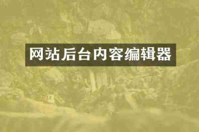 网站后台内容编辑器