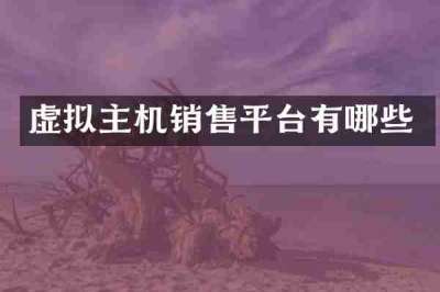 虚拟主机销售平台有哪些