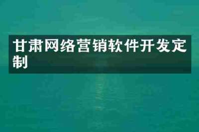 甘肃网络营销软件开发定制