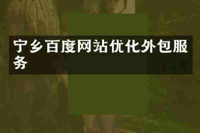 宁乡百度网站优化外包服务