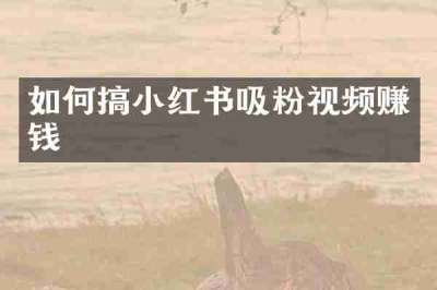 如何搞小红书吸粉视频赚钱