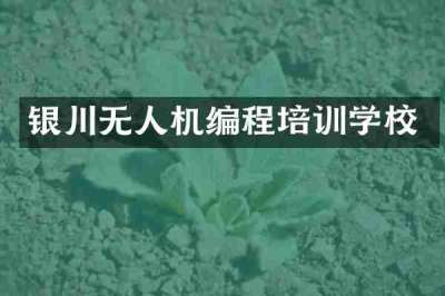 银川无人机编程培训学校