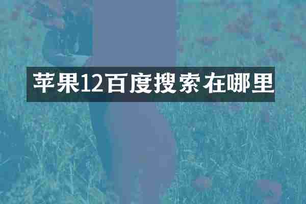 苹果12百度搜索在哪里
