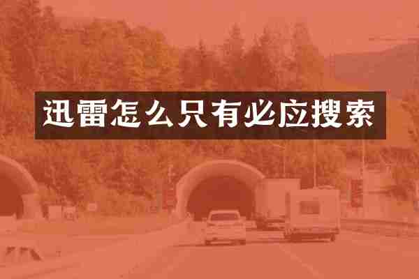 迅雷怎么只有必应搜索